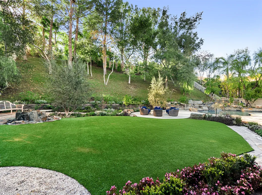 Lush green lawn with healthy trees in a Texas backyard