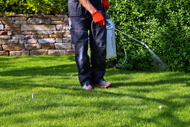Get Green Lawn Kings providing expert lawn care and pest control services in Texas